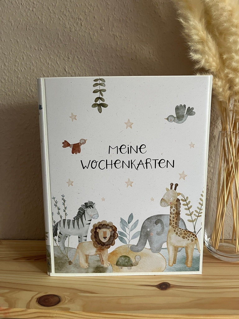 Ordner für Ereignis - und Aktivitätskarten - NILENA