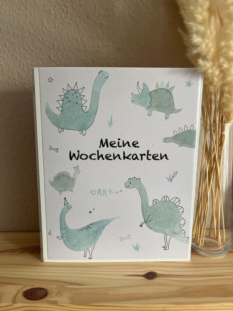 Ordner für Ereignis - und Aktivitätskarten - NILENA